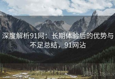深度解析91网：长期体验后的优势与不足总结，91网沾