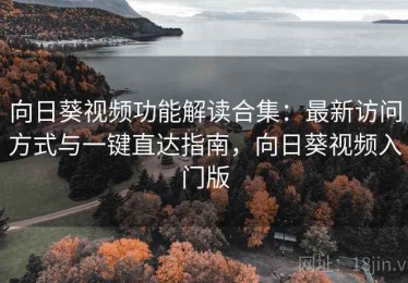 向日葵视频功能解读合集：最新访问方式与一键直达指南，向日葵视频入门版