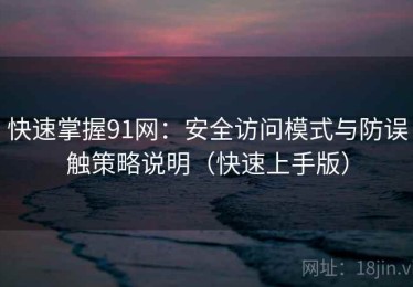 快速掌握91网：安全访问模式与防误触策略说明（快速上手版）