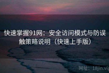 快速掌握91网：安全访问模式与防误触策略说明（快速上手版）