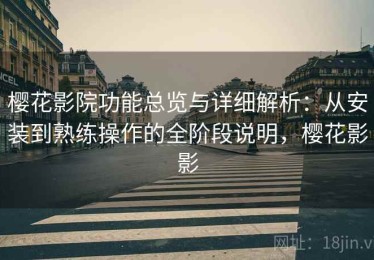 樱花影院功能总览与详细解析：从安装到熟练操作的全阶段说明，樱花影影