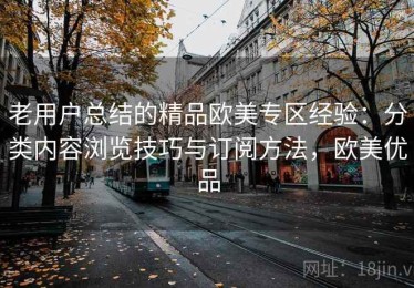 老用户总结的精品欧美专区经验：分类内容浏览技巧与订阅方法，欧美优品