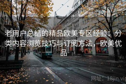 老用户总结的精品欧美专区经验：分类内容浏览技巧与订阅方法，欧美优品