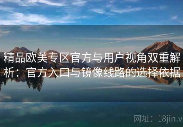 精品欧美专区官方与用户视角双重解析：官方入口与镜像线路的选择依据