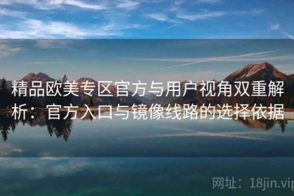 精品欧美专区官方与用户视角双重解析：官方入口与镜像线路的选择依据