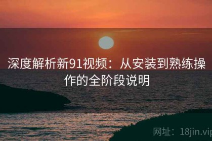 深度解析新91视频：从安装到熟练操作的全阶段说明