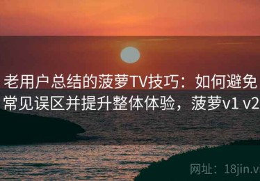 老用户总结的菠萝TV技巧：如何避免常见误区并提升整体体验，菠萝v1 v2