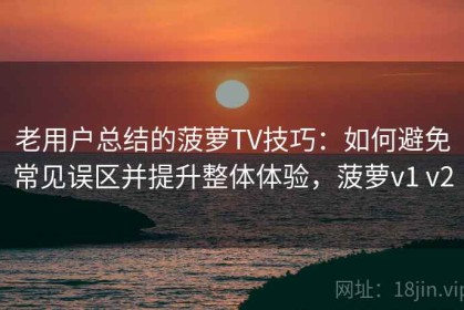 老用户总结的菠萝TV技巧：如何避免常见误区并提升整体体验，菠萝v1 v2