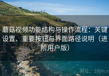 蘑菇视频功能结构与操作流程：关键设置、重要按钮与界面路径说明（进阶用户版）