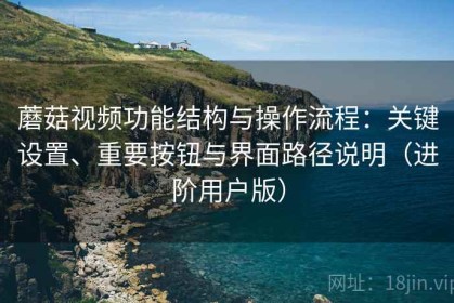 蘑菇视频功能结构与操作流程：关键设置、重要按钮与界面路径说明（进阶用户版）