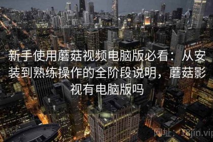 新手使用蘑菇视频电脑版必看：从安装到熟练操作的全阶段说明，蘑菇影视有电脑版吗