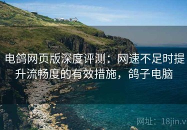 电鸽网页版深度评测：网速不足时提升流畅度的有效措施，鸽子电脑