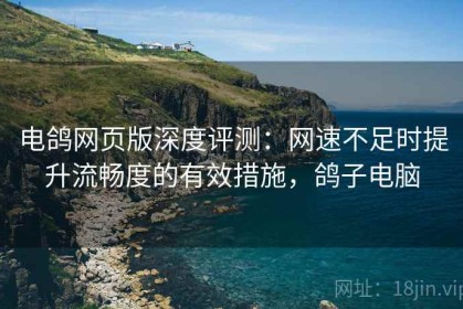 电鸽网页版深度评测：网速不足时提升流畅度的有效措施，鸽子电脑