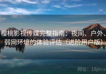 樱桃影视传媒完整指南：夜间、户外、弱网环境的体验评估（进阶用户版）