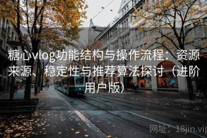 糖心vlog功能结构与操作流程：资源来源、稳定性与推荐算法探讨（进阶用户版）