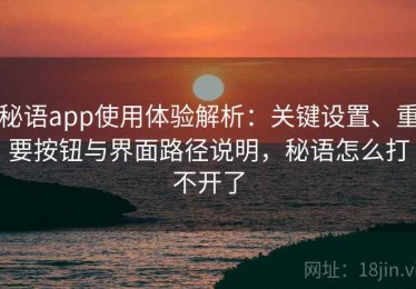 秘语app使用体验解析：关键设置、重要按钮与界面路径说明，秘语怎么打不开了