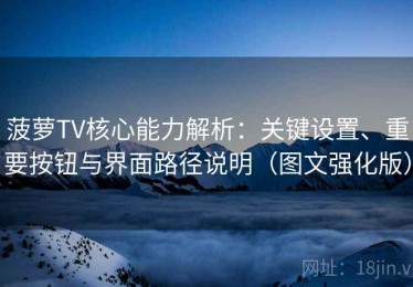 菠萝TV核心能力解析：关键设置、重要按钮与界面路径说明（图文强化版）