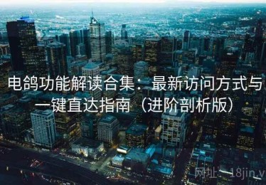 电鸽功能解读合集：最新访问方式与一键直达指南（进阶剖析版）
