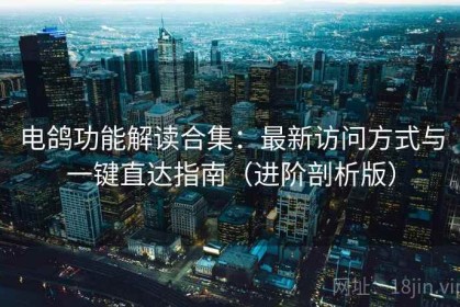 电鸽功能解读合集：最新访问方式与一键直达指南（进阶剖析版）