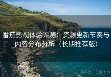 番茄影视体验评测：资源更新节奏与内容分布分析（长期推荐版）