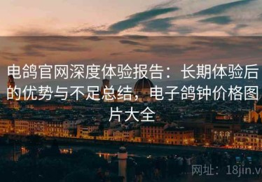 电鸽官网深度体验报告：长期体验后的优势与不足总结，电子鸽钟价格图片大全