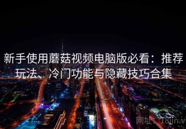 新手使用蘑菇视频电脑版必看：推荐玩法、冷门功能与隐藏技巧合集