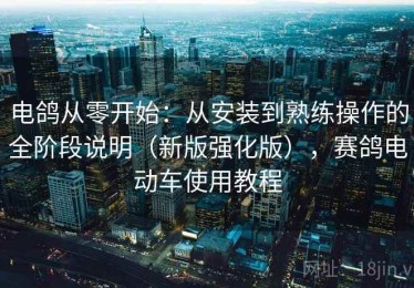 电鸽从零开始：从安装到熟练操作的全阶段说明（新版强化版），赛鸽电动车使用教程