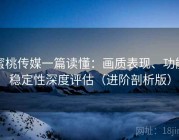 蜜桃传媒一篇读懂：画质表现、功能稳定性深度评估（进阶剖析版）