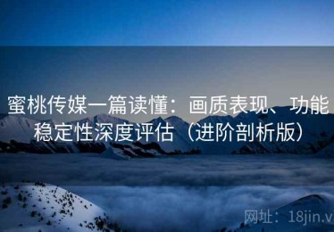 蜜桃传媒一篇读懂：画质表现、功能稳定性深度评估（进阶剖析版）