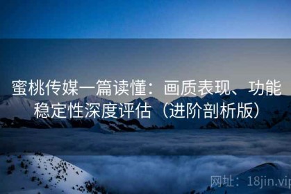 蜜桃传媒一篇读懂：画质表现、功能稳定性深度评估（进阶剖析版）
