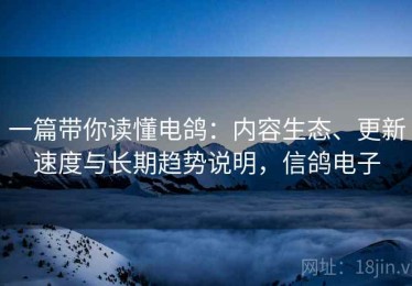 一篇带你读懂电鸽：内容生态、更新速度与长期趋势说明，信鸽电子