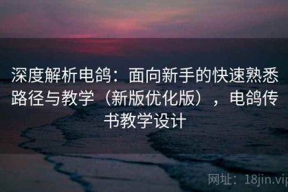 深度解析电鸽：面向新手的快速熟悉路径与教学（新版优化版），电鸽传书教学设计