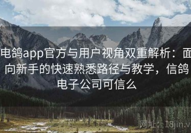 电鸽app官方与用户视角双重解析：面向新手的快速熟悉路径与教学，信鸽电子公司可信么
