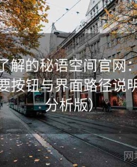 你必须了解的秘语空间官网：关键设置、重要按钮与界面路径说明（专家分析版）