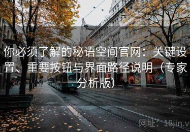 你必须了解的秘语空间官网：关键设置、重要按钮与界面路径说明（专家分析版）