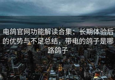 电鸽官网功能解读合集：长期体验后的优势与不足总结，带电的鸽子是哪路鸽子