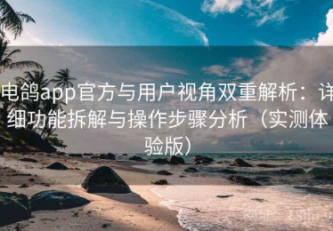 电鸽app官方与用户视角双重解析：详细功能拆解与操作步骤分析（实测体验版）