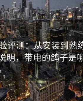 电鸽体验评测：从安装到熟练操作的全阶段说明，带电的鸽子是哪路鸽子