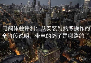电鸽体验评测：从安装到熟练操作的全阶段说明，带电的鸽子是哪路鸽子