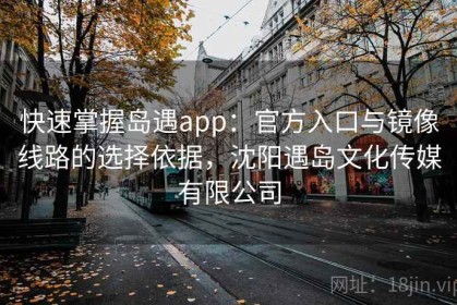 快速掌握岛遇app：官方入口与镜像线路的选择依据，沈阳遇岛文化传媒有限公司