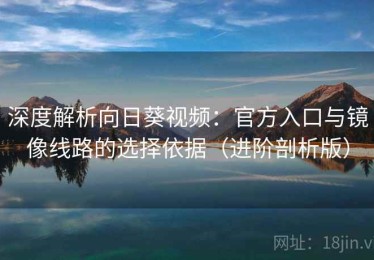 深度解析向日葵视频：官方入口与镜像线路的选择依据（进阶剖析版）