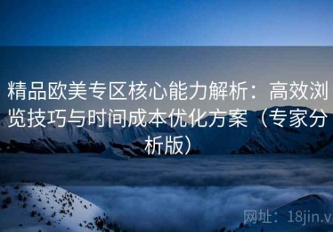 精品欧美专区核心能力解析：高效浏览技巧与时间成本优化方案（专家分析版）
