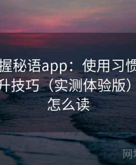 快速掌握秘语app：使用习惯优化与效率提升技巧（实测体验版），秘语怎么读