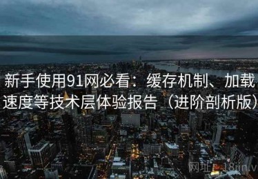 新手使用91网必看：缓存机制、加载速度等技术层体验报告（进阶剖析版）
