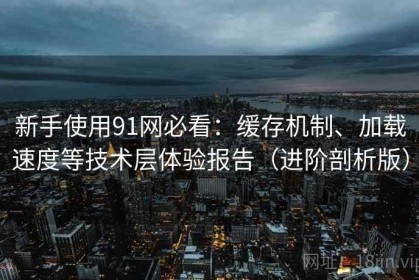 新手使用91网必看：缓存机制、加载速度等技术层体验报告（进阶剖析版）