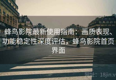 蜂鸟影院最新使用指南：画质表现、功能稳定性深度评估，蜂鸟影院首页界面