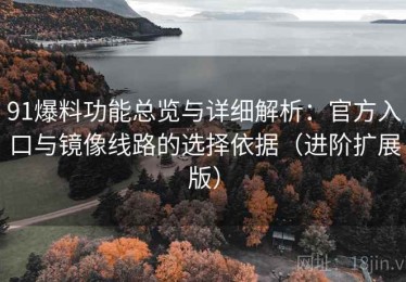 91爆料功能总览与详细解析：官方入口与镜像线路的选择依据（进阶扩展版）