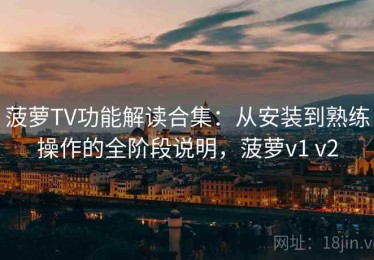 菠萝TV功能解读合集：从安装到熟练操作的全阶段说明，菠萝v1 v2