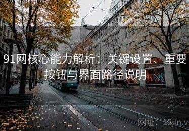 91网核心能力解析：关键设置、重要按钮与界面路径说明