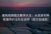 蜜桃视频图文教学大全：从安装到熟练操作的全阶段说明（图文加强版）